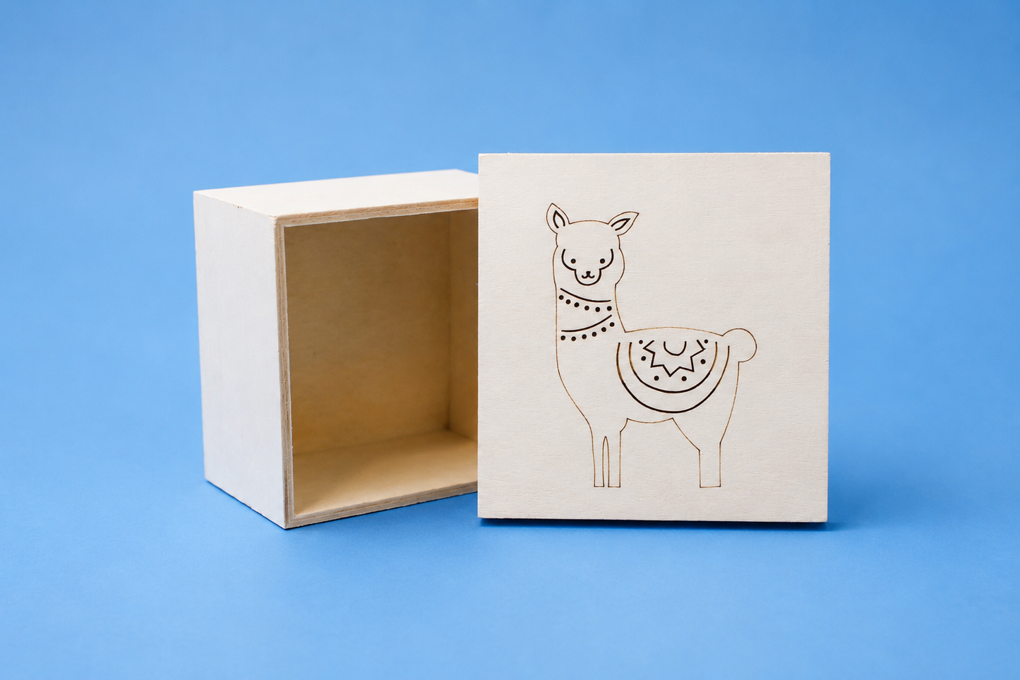 Shampoo Bar for Kids - Creative Craft Kit