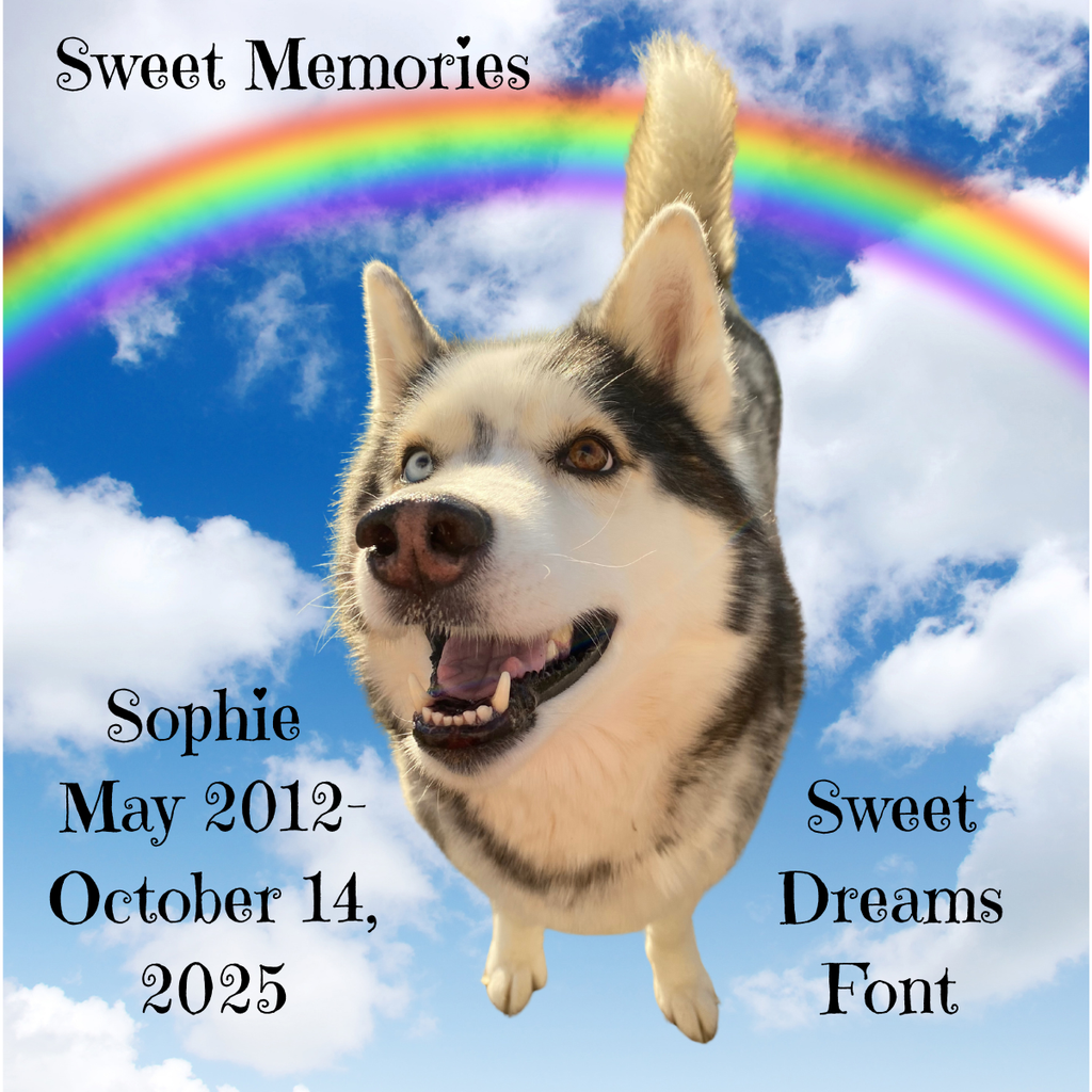 "Love Never Dies" Remembrance Candle Collection