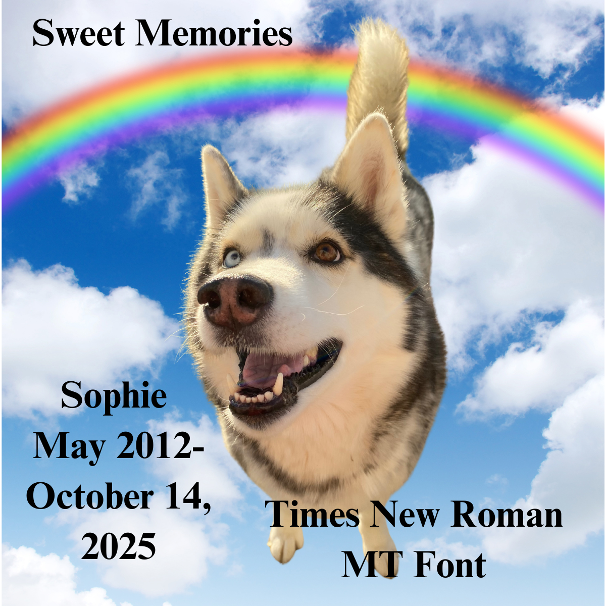 "Love Never Dies" Remembrance Candle Collection