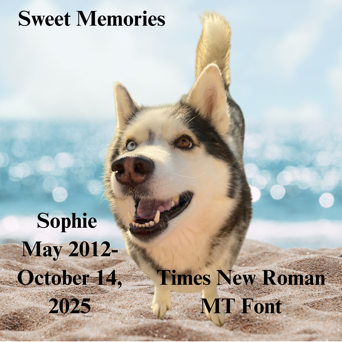 "Love Never Dies" Remembrance Candle Collection