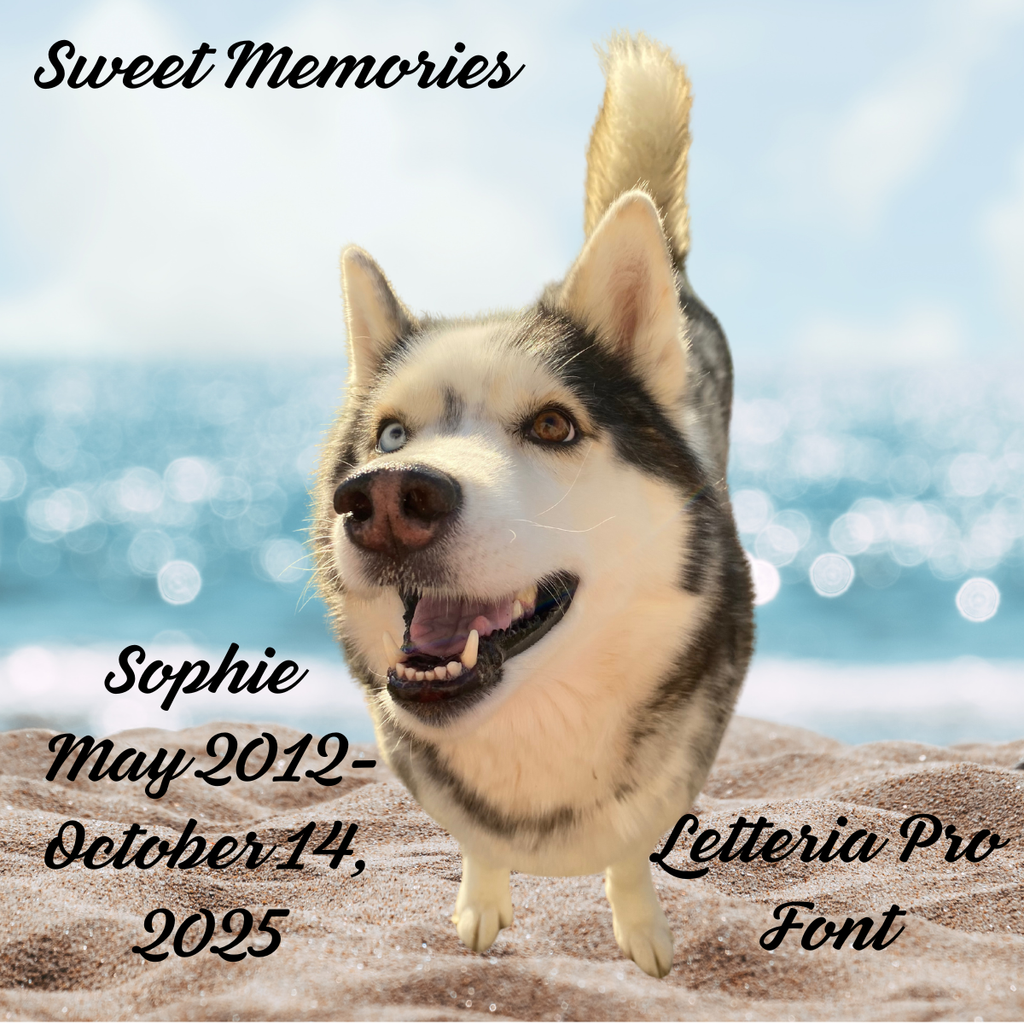 "Love Never Dies" Remembrance Candle Collection