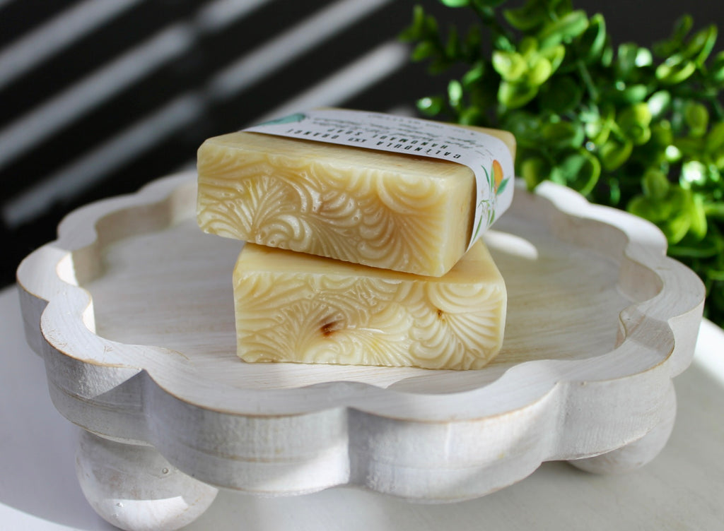 Two soap bars on a decorative white dish with a plant in the background