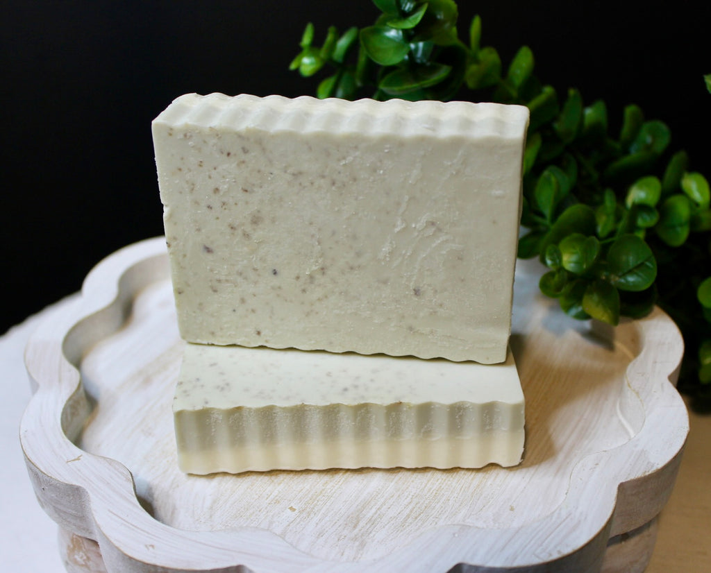 Two rectangular bars of soap on a decorative stand with a green plant in the background.