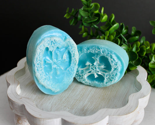 Two blue soap bars with textured surfaces on a white stand with greenery in the background