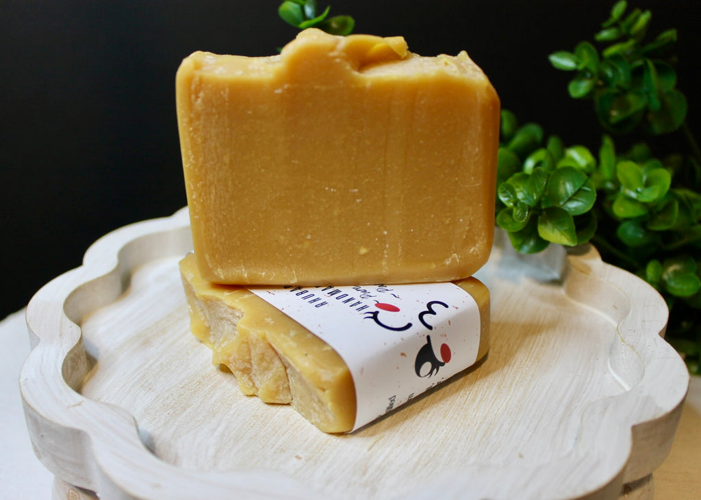 Two bars of soap on a white plate with a dark background and greenery.